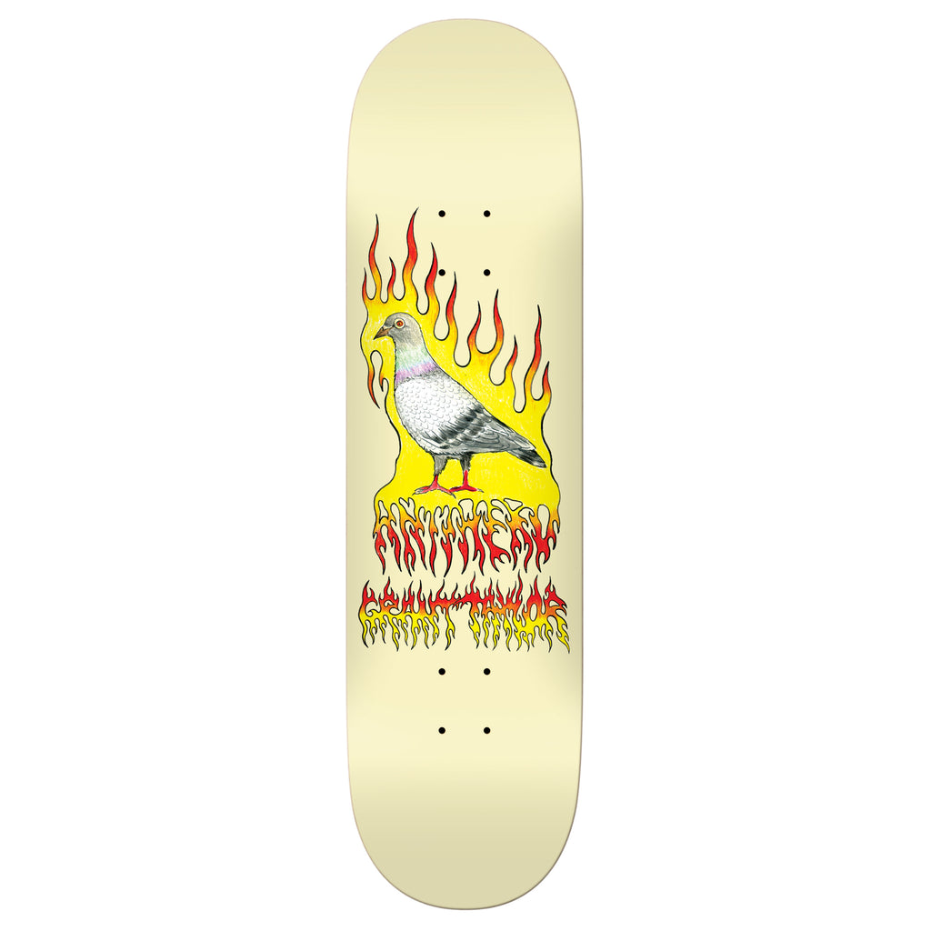 An ANTIHERO GRANT PIGEON VISION skateboard deck, available in size 8.25.