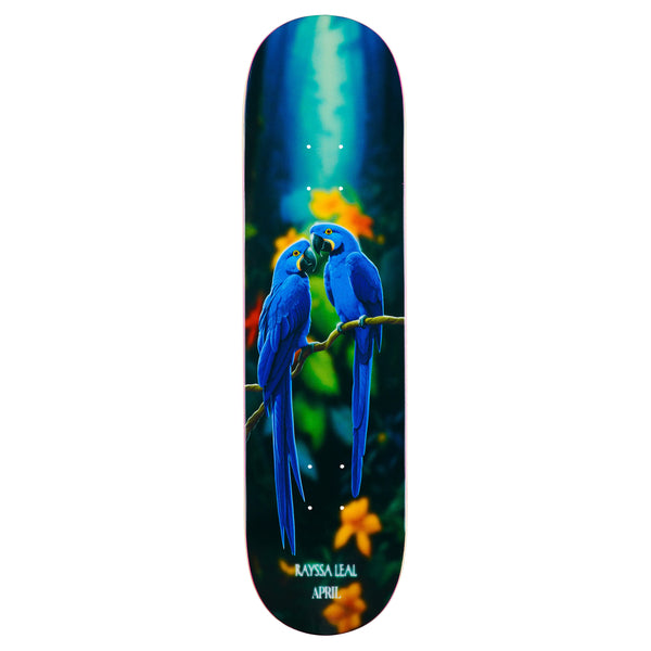 Colorful skateboard deck with a graphic of two blue parrots on a branch, featuring the APRIL RAYSSA LEAL BLUE MACAW design.