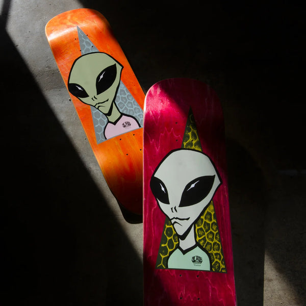 Two 8.25 Inch Skateboards with ALIEN WORKSHOP VISITOR designs propped against a shadowy background.