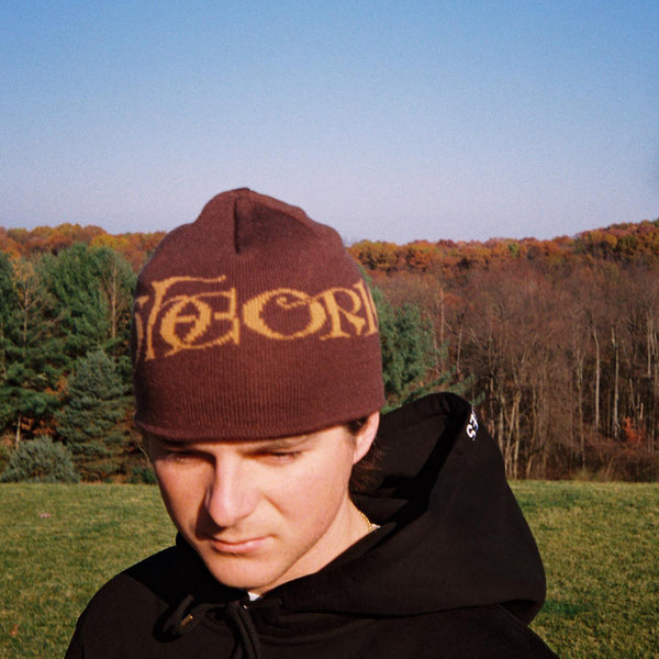 Person wearing a Burnt Orange Theories Secretum Jaquard Knit Beanie against a backdrop of trees with autumn foliage.