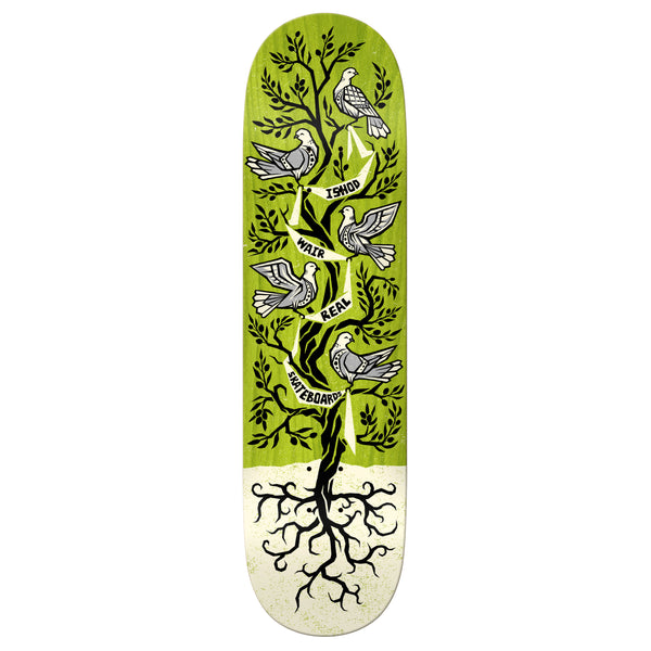 skateboard graphic of birds in a tree
