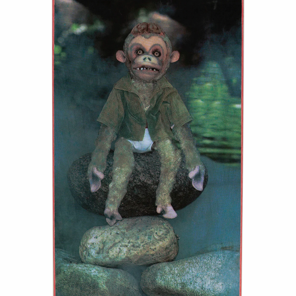 close up of creepy monkey wearing a shirt graphic