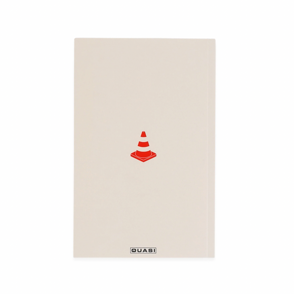 A QUASI simulation notebook with a red cone companion.