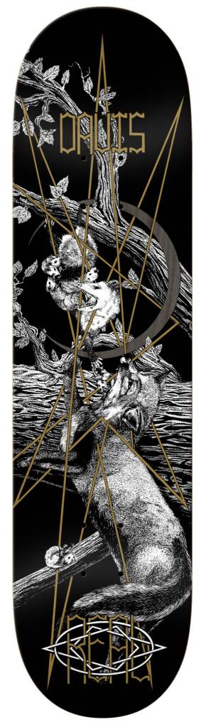 The REAL DAVIS FOREST FRIENDS 8.18 skateboard deck by REAL features a black background, detailed wild cat climbing a tree illustration, gold geometric lines, and "OPUS" in stylized text at the top.