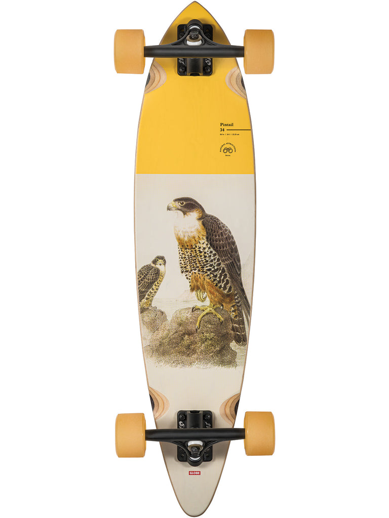 A GLOBE PINTAIL 34 CRUISER 30.5" FALCON with an image of a bird on it.