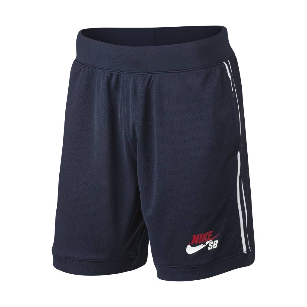 NIKE SB SHORTS