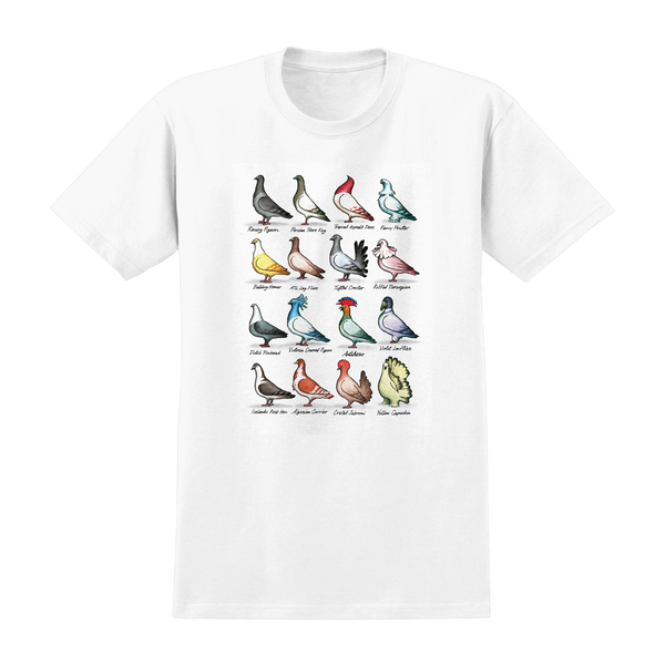 An ANTIHERO show pigeons tee white showcasing pigeons.