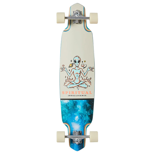 A DUSTERS longboard with a blue and white design.