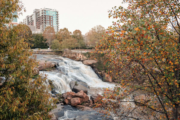 Bluetile Skateboards captured the scenic beauty of Falls Park, with a stunning waterfall nestled amidst lush trees and buildings.