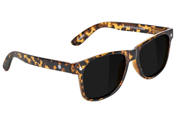 A pair of GLASSY SUNHATERS LEONARD POLARIZED TORTOISE sunglasses on a white background.