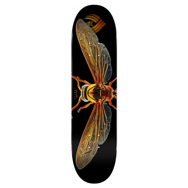 A POWELL PERALTA skateboard deck with an image of a wasp on it, featuring the FLIGHT SBISS POTTER WASP design.