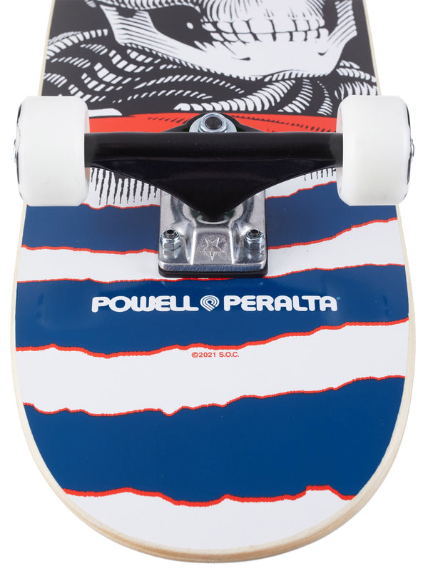 A 7.75-inch skateboard with a skull on it, featuring the Navy colorway of the Powell Peralta Ripper Complete design.