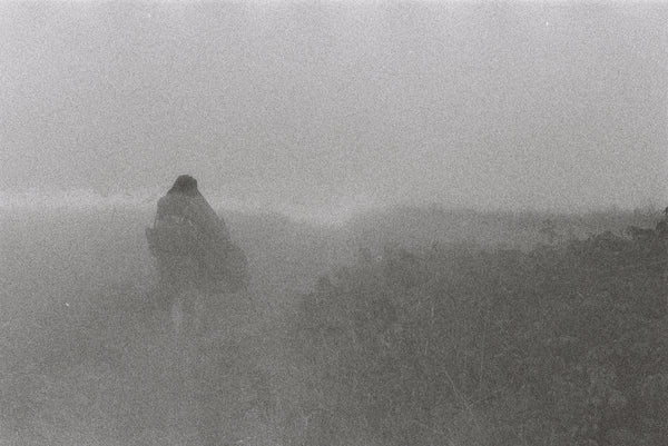 A mesmerizing black and white photo print capturing Fog by Shawn Gerald walking gracefully through the ethereal fog, brought to you by Bluetile Skateboards.