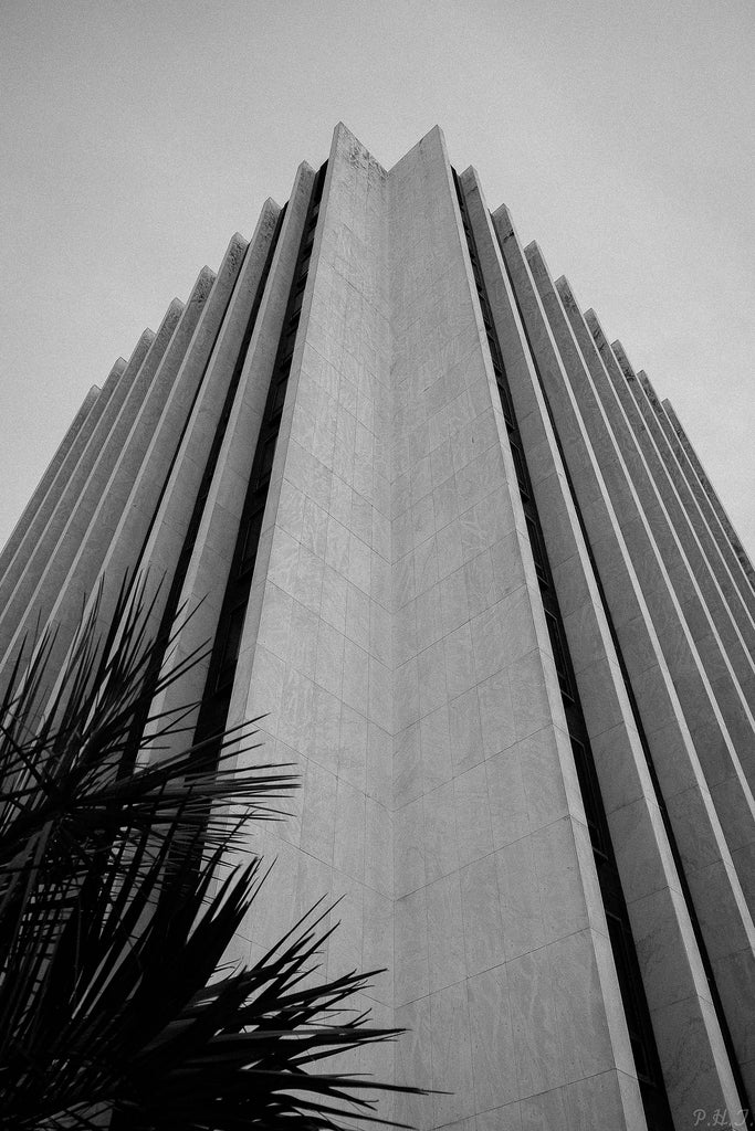 A black and white Rutledge by Philip Taylor photo print of a tall building by Philip Taylor, sold by Bluetile Skateboards.