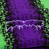 A close-up of a knitted Fucking Awesome Gradient Drip Cuff Beanie Purple/Green.