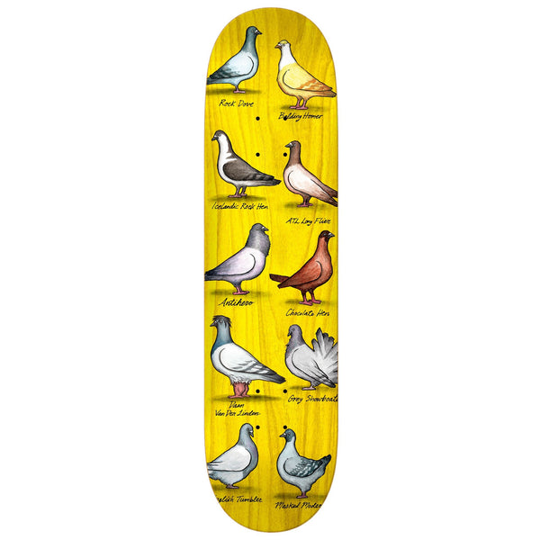 Various stains on an Antihero Daan Show Pigeons 8.38 skateboard deck, adorned with Antihero show pigeons.