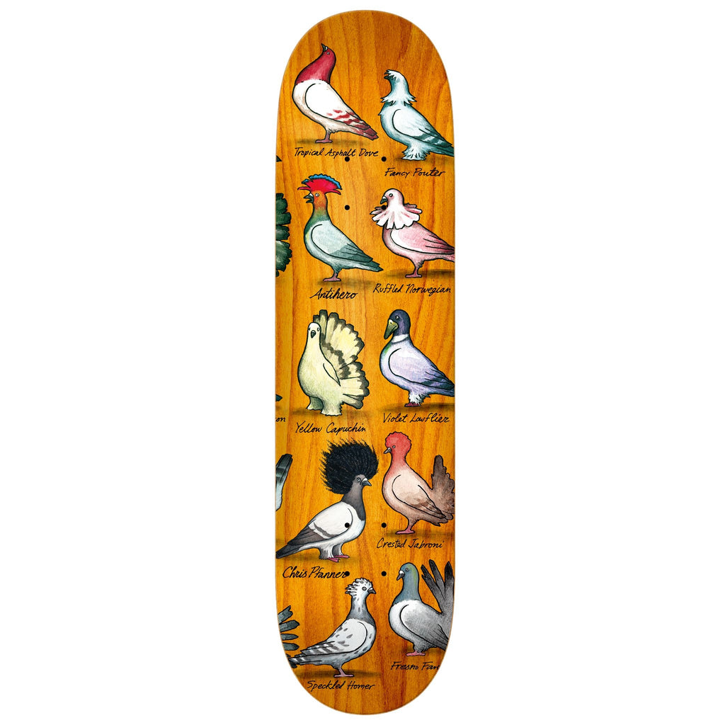 An ANTIHERO skateboard deck featuring the ANTI HERO PFANNER SHOW PIGEONS.