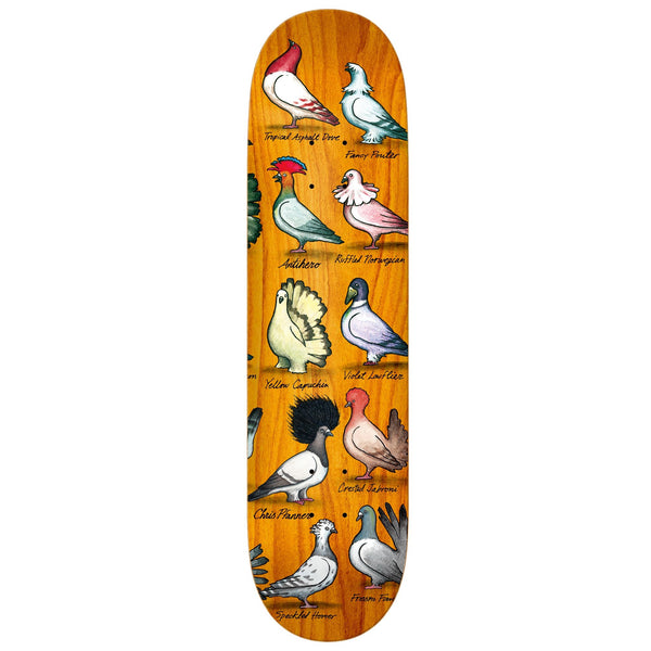 An ANTIHERO skateboard deck featuring the ANTI HERO PFANNER SHOW PIGEONS.