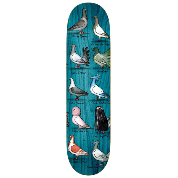 An ANTIHERO skateboard deck featuring the ANTI HERO TRUJILLO SHOW PIGEONS 8.5 and other birds.