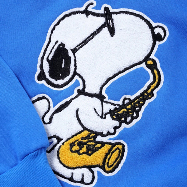 a close up of a Butter Goods Jazz Chenille Applique Hoodie in Royal Blue.