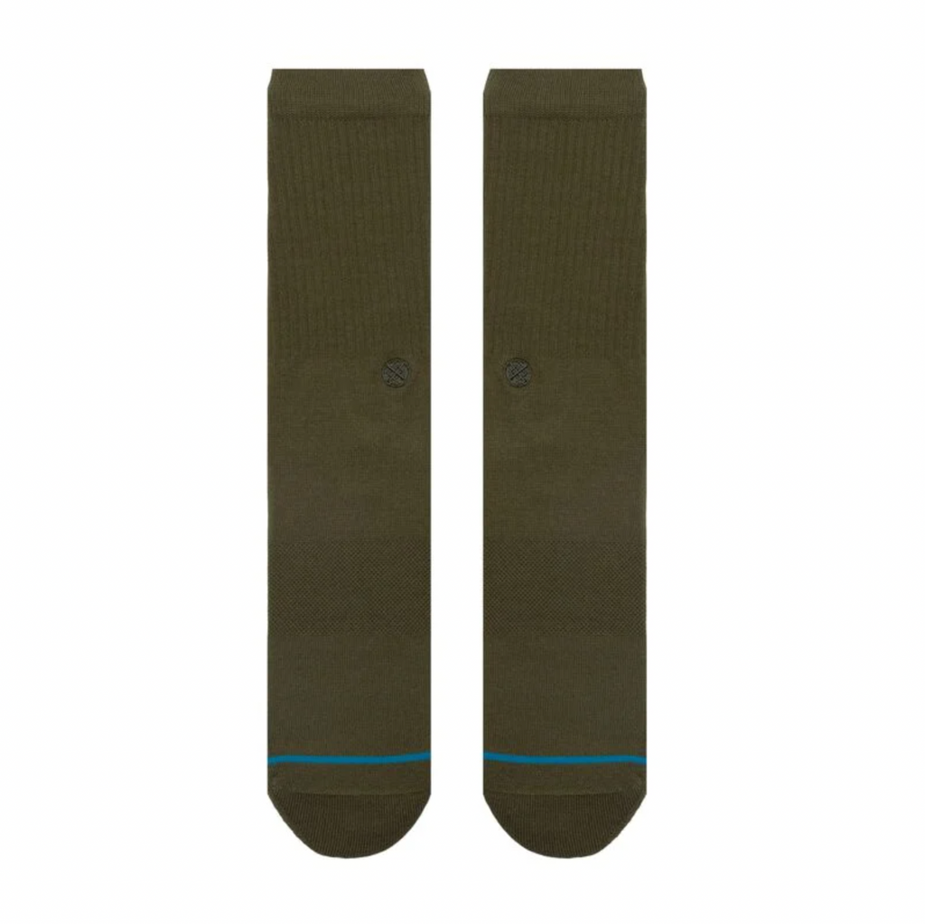 A pair of STANCE SOCKS ICON GREEN LARGE with a blue stripe.
